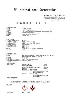 BE International Corporation