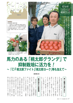 馬力のある「桃太郎グランデ」で 抑制栽培に活力を