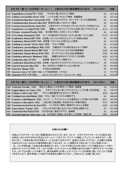 500円均一セール！！ 人気のわけあり格安販売