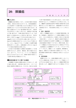 20．膵臓癌 - 日本臨床検査医学会