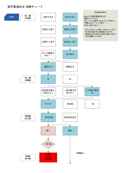 装甲悪鬼村正 攻略チャート PDF版