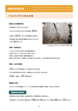 このページをダウンロード