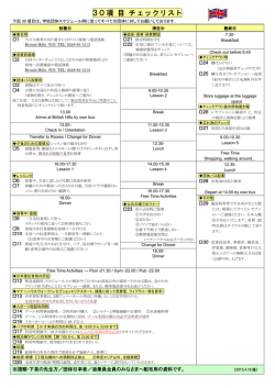 30項 目 チェックリスト