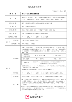 商品概要説明書 - 山陰合同銀行