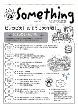 SomethingVol.13