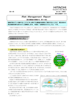 Risk Management Report