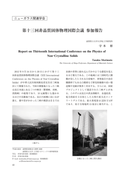 第十三回非晶質固体物理国際会議 参加報告