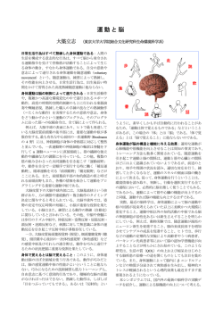 運動と脳 - 東京大学 大学院総合文化研究科