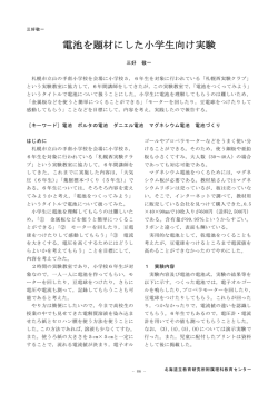 電池を題材にした小学生向け実験