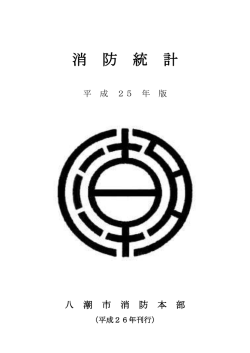 消防統計 平成25年版（PDF：1551KB）
