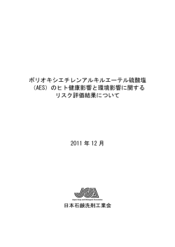 pdfファイル（101KB）