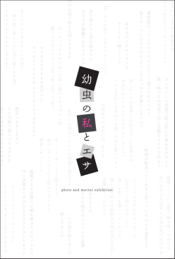 2011さば現DM 表2