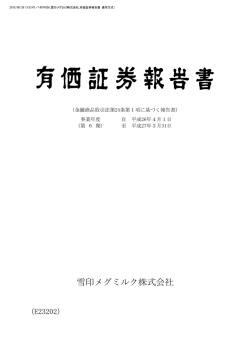 第6期有価証券報告書