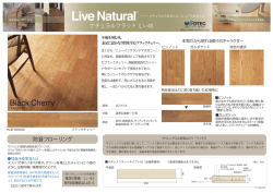 防音フローリング ナチュラルフラット L L-45