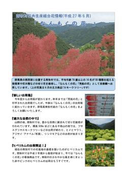 『新しい出荷箱』 『雄大な自然の中で』 『ヒペリカムの出荷間近！』