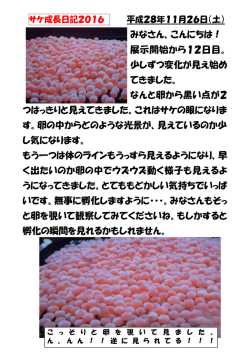 みなさん、こんにちは！ 展示開始から12日目。 少しずつ変化が見え始め