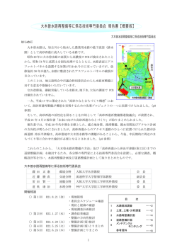 大木曽水路再整備等に係る技術専門委員会 報告書【概要版】