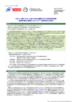 水をくんで調べれば、生息する魚の種類が分かる新技術を開発 ～魚類