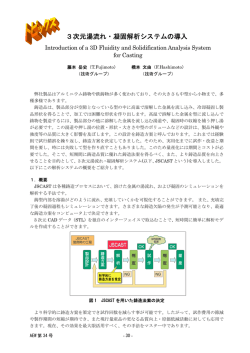 3次元湯流れ・凝固解析システムの導入（PDF 282KB）