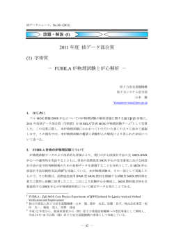 FUBILA 炉物理試験と炉心解析