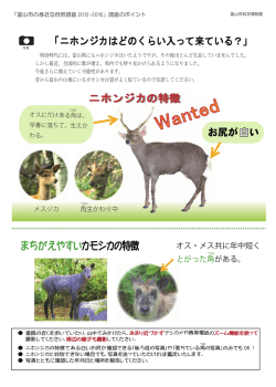 ニホンジカの見分け方（PDF）