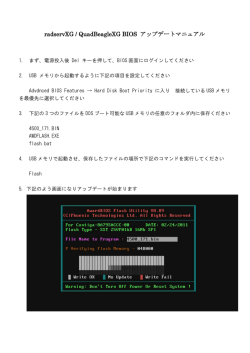radservZG / QuadBeagleZG BIOS アップデート