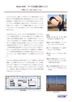 Model 300B マイクロ波侵入検知リンク