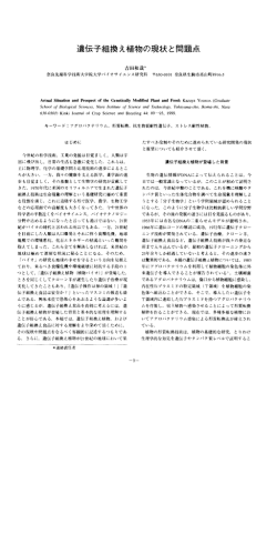 遺伝子組換え植物の現状と問題点