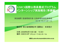 GSICS国際公務員養成プログラム インターンシップ実施報告（準備編）