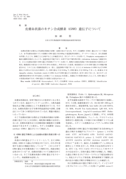 皮膚糸状菌のキチン合成酵素 （CHS）遺伝子について