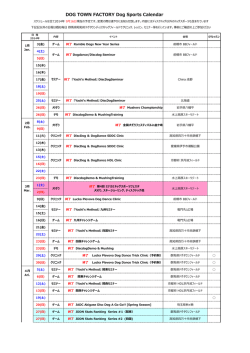 DOG TOWN FACTORY Dog Sports Calendar