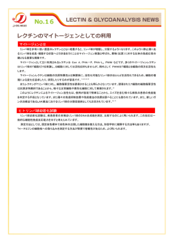 No.16 レクチンのマイトージェンとしての利用