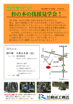 杉の木の伐採見学会！