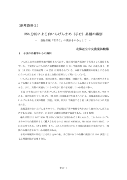 (参考資料2) DNA 分析による白いんげんまめ（手亡）品種の識別