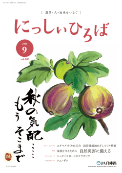 PDFをダウンロード