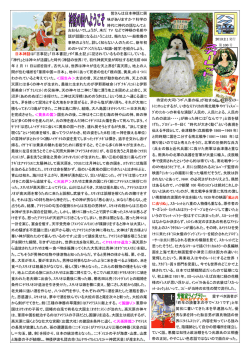 おおもいでしょうが、未だ TV などで神様の名前や 話が話題になるという