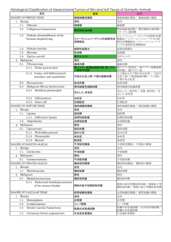 Histological Classification of Mesenchymal Tumors of Skin and Soft