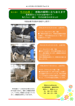 牛の出産！ 感動の瞬間に立ち会えます