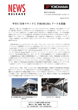 PDF版（589KB）