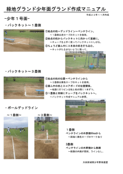 少年1・2・3号面用 - 大田区城南少年軟式野球連盟