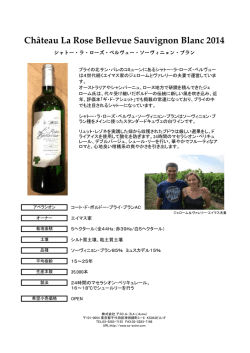 Château La Rose Bellevue Sauvignon Blanc 2014
