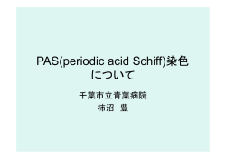 PAS(periodic acid Schiff)染色 について