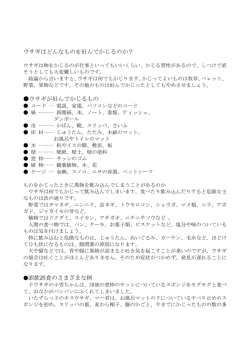 かじるもの - 清水動物病院