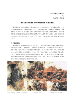 鶏尿石病（腎臓痛風または内臓性痛風・尿酸沈着症）