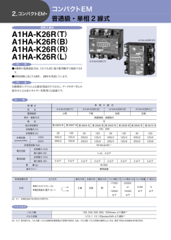 A1HA-K26R（B）