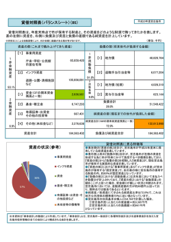 貸借対照表（バランスシート）（BS） 資産の状況（参考）