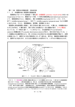 第11章 視覚系の情報処理 20040306 11．3 外側膝状