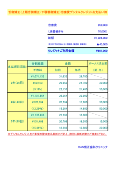 治療費 950,000 （消費税8％ 76,000） 総額 ¥1,026,000 45,000