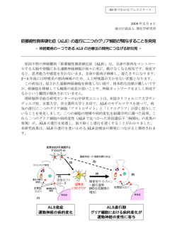 筋萎縮性側索硬化症（ALS）の進行に二つのグリア細胞
