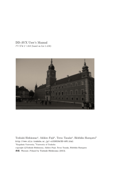 DD-AVX User`s Manual